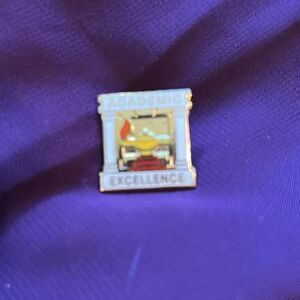 Academic Excellence Pin